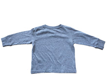 Load image into Gallery viewer, Lucky Fish 2Y