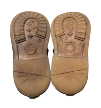 Load image into Gallery viewer, * Pom D' Api *
